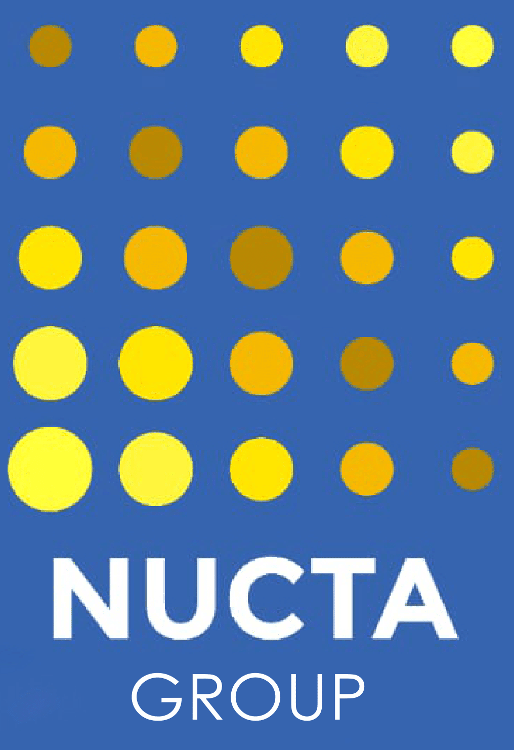 NUCTA GROUP Logo